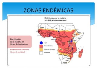 ZONAS ENDÉMICAS
 