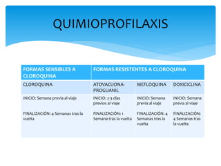 FORMAS SENSIBLES A
CLOROQUINA
FORMAS RESISTENTES A CLOROQUINA
CLOROQUINA ATOVACUONA-
PROGUANIL
MEFLOQUINA DOXICICLINA
INICIO: Semana previa al viaje
FINALIZACIÓN: 4 Semanas tras la
vuelta
INICIO: 2-3 días
previos al viaje
FINALIZACIÓN: 1
Semana tras la vuelta
INICIO: Semana
previa al viaje
FINALIZACIÓN: 4
Semanas tras la
vuelta
INICIO: Semana
previa al viaje
FINALIZACIÓN:
4 Semanas tras
la vuelta
QUIMIOPROFILAXIS
 