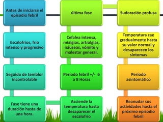 Antes de iniciarse el
episodio febril
Escalofríos, frío
intenso y progresivo
Seguido de temblor
incontrolable
Fase tiene una
duración hasta de
una hora.
Asciende la
temperatura hasta
desaparecer el
escalofrío
Período febril +/- 6
a 8 Horas
Cefalea intensa,
mialgias, artralgias,
náuseas, vómito y
malestar general.
última fase Sudoración profusa
Temperatura cae
gradualmente hasta
su valor normal y
desaparecen los
síntomas
Período
asintomático
Reanudar sus
actividades hasta el
próximo episodio
febril
 