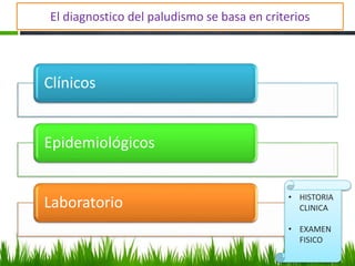 El diagnostico del paludismo se basa en criterios
Clínicos
Epidemiológicos
Laboratorio • HISTORIA
CLINICA
• EXAMEN
FISICO
 