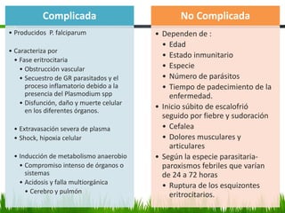 Complicada
• Producidos P. falciparum
• Caracteriza por
• Fase eritrocitaria
• Obstrucción vascular
• Secuestro de GR parasitados y el
proceso inflamatorio debido a la
presencia del Plasmodium spp
• Disfunción, daño y muerte celular
en los diferentes órganos.
• Extravasación severa de plasma
• Shock, hipoxia celular
• Inducción de metabolismo anaerobio
• Compromiso intenso de órganos o
sistemas
• Acidosis y falla multiorgánica
• Cerebro y pulmón
No Complicada
• Dependen de :
• Edad
• Estado inmunitario
• Especie
• Número de parásitos
• Tiempo de padecimiento de la
enfermedad.
• Inicio súbito de escalofrió
seguido por fiebre y sudoración
• Cefalea
• Dolores musculares y
articulares
• Según la especie parasitaria-
paroxismos febriles que varían
de 24 a 72 horas
• Ruptura de los esquizontes
eritrocitarios.
 