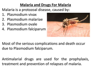 Malaria and Drugs For Malaria
Malaria is a protozoal disease, caused by:
1. Plasmodium vivax
2. Plasmodium malariae
3. Plasmodium ovale
4. Plasmodium falciparum
Most of the serious complications and death occur
due to Plasmodium falciparum.
Antimalarial drugs are used for the prophylaxis,
treatment and prevention of relapses of malaria.
 