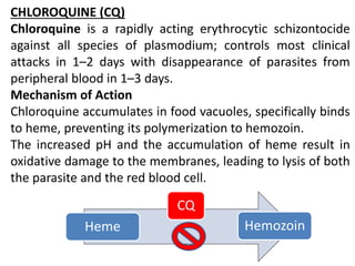 CHLOROQUINE (CQ)
Chloroquine is a rapidly acting erythrocytic schizontocide
against all species of plasmodium; controls most clinical
attacks in 1–2 days with disappearance of parasites from
peripheral blood in 1–3 days.
Mechanism of Action
Chloroquine accumulates in food vacuoles, specifically binds
to heme, preventing its polymerization to hemozoin.
The increased pH and the accumulation of heme result in
oxidative damage to the membranes, leading to lysis of both
the parasite and the red blood cell.
Heme
CQ
Hemozoin
 