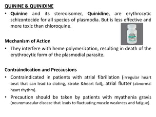 QUININE & QUINIDINE
• Quinine and its stereoisomer, Quinidine, are erythrocytic
schizontocide for all species of plasmodia. But is less effective and
more toxic than chloroquine.
Mechanism of Action
• They interfere with heme polymerization, resulting in death of the
erythrocytic form of the plasmodial parasite.
Contraindication and Precausions
• Contraindicated in patients with atrial fibrillation (irregular heart
beat that can lead to cloting, stroke &heart fail), atrial flutter (abnormal
heart rhythm).
• Precaution should be taken by patients with myathenia gravis
(neuromuscular disease that leads to fluctuating muscle weakness and fatigue).
 
