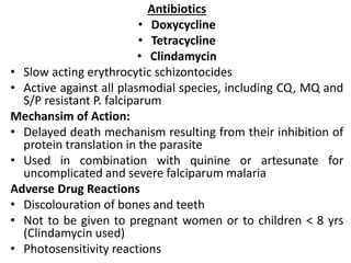 Antibiotics
• Doxycycline
• Tetracycline
• Clindamycin
• Slow acting erythrocytic schizontocides
• Active against all plasmodial species, including CQ, MQ and
S/P resistant P. falciparum
Mechansim of Action:
• Delayed death mechanism resulting from their inhibition of
protein translation in the parasite
• Used in combination with quinine or artesunate for
uncomplicated and severe falciparum malaria
Adverse Drug Reactions
• Discolouration of bones and teeth
• Not to be given to pregnant women or to children < 8 yrs
(Clindamycin used)
• Photosensitivity reactions
 