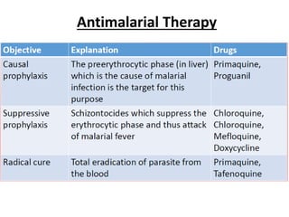 Antimalarial Therapy
 