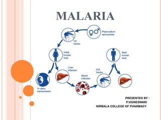 MALARIA
PRESENTED BY :
P.VIGNESWARI
NIRMALA COLLEGE OF PHARMACY
 