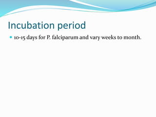 Incubation period
 10-15 days for P. falciparum and vary weeks to month.
 