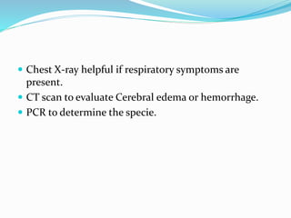  Chest X-ray helpful if respiratory symptoms are
present.
 CT scan to evaluate Cerebral edema or hemorrhage.
 PCR to determine the specie.
 