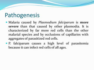 Pathogenesis
 Malaria caused by Plasmodium falciparum is more
severe than that caused by other plasmodia. It is
characterized by far more red cells than the other
malarial species and by occlusions of capillaries with
aggregates of parasitized red cells.
 P. falciparum causes a high level of parasitemia
because it can infect red cells of all ages.
 