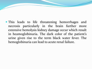 This leads to life threatening hemorrhages and
necrosis particularly in the brain further more
extensive hemolysis kidney damage occur which result
in heamoglobinuria. The dark color of the patient’s
urine given rise to the term black water fever. The
hemoglobinuria can lead to acute renal failure.
 