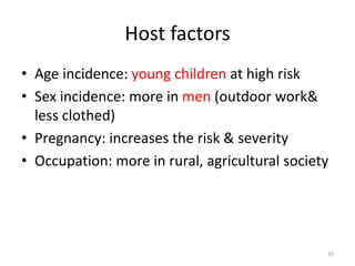 Host factors
• Age incidence: young children at high risk
• Sex incidence: more in men (outdoor work&
less clothed)
• Pregnancy: increases the risk & severity
• Occupation: more in rural, agricultural society
10
 