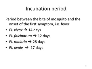 Incubation period
Period between the bite of mosquito and the
onset of the first symptom, i.e. fever
• Pl. vivax  14 days
• Pl. falciparum  12 days
• Pl. malaria  28 days
• Pl. ovale  17 days
15
 