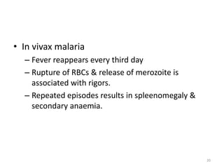 • In vivax malaria
– Fever reappears every third day
– Rupture of RBCs & release of merozoite is
associated with rigors.
– Repeated episodes results in spleenomegaly &
secondary anaemia.
20
 