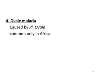 4. Ovale malaria
Caused by Pl. Ovale
common only in Africa
24
 
