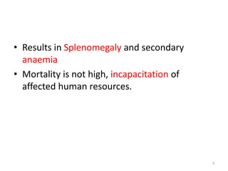 • Results in Splenomegaly and secondary
anaemia
• Mortality is not high, incapacitation of
affected human resources.
3
 