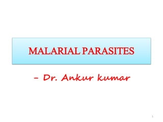 MALARIAL PARASITES
- Dr. Ankur kumar
1
 