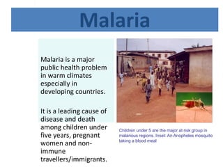n
t
r
o
d
u
c
t
i
o
n
1
Malaria
Malaria is a major
public health problem
in warm climates
especially in
developing countries.
It is a leading cause of
disease and death
among children under
five years, pregnant
women and non-
immune
travellers/immigrants.
Children under 5 are the major at risk group in
malarious regions. Inset: An Anopheles mosquito
taking a blood meal
 