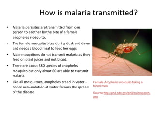Female Anopheles mosquito taking a
blood meal
Source:http://phil.cdc.gov/phil/quicksearch.
asp
How is malaria transmitted?
• Malaria parasites are transmitted from one
person to another by the bite of a female
anopheles mosquito.
• The female mosquito bites during dusk and dawn
and needs a blood meal to feed her eggs.
• Male mosquitoes do not transmit malaria as they
feed on plant juices and not blood.
• There are about 380 species of anopheles
mosquito but only about 60 are able to transmit
malaria.
• Like all mosquitoes, anopheles breed in water -
hence accumulation of water favours the spread
of the disease.
 