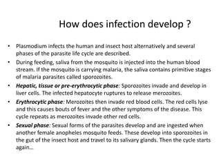 How does infection develop ?
• Plasmodium infects the human and insect host alternatively and several
phases of the parasite life cycle are described.
• During feeding, saliva from the mosquito is injected into the human blood
stream. If the mosquito is carrying malaria, the saliva contains primitive stages
of malaria parasites called sporozoites.
• Hepatic, tissue or pre-erythrocytic phase: Sporozoites invade and develop in
liver cells. The infected hepatocyte ruptures to release merozoites.
• Erythrocytic phase: Merozoites then invade red blood cells. The red cells lyse
and this causes bouts of fever and the other symptoms of the disease. This
cycle repeats as merozoites invade other red cells.
• Sexual phase: Sexual forms of the parasites develop and are ingested when
another female anopheles mosquito feeds. These develop into sporozoites in
the gut of the insect host and travel to its salivary glands. Then the cycle starts
again…
 