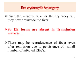 Exo-erythrocytic Schizogony
Once the merozoites enter the erythrocytes ,
they never reinvade the liver.
So EE forms are absent in Transfusion
malaria.
There may be recrudescence of fever even
after remission due to persistence of small
number of infected RBCs.
18
 