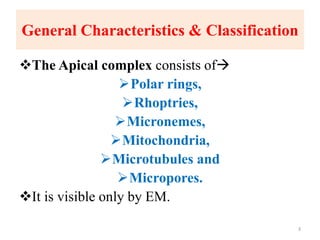 General Characteristics & Classification
The Apical complex consists of
Polar rings,
Rhoptries,
Micronemes,
Mitochondria,
Microtubules and
Micropores.
It is visible only by EM.
3
 