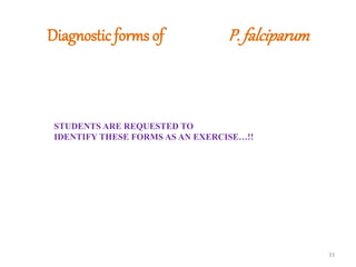 Diagnostic forms of P. falciparum
33
STUDENTS ARE REQUESTED TO
IDENTIFY THESE FORMS AS AN EXERCISE…!!
 