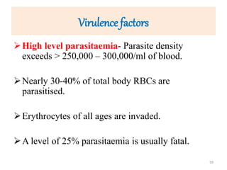 Virulence factors
High level parasitaemia- Parasite density
exceeds > 250,000 – 300,000/ml of blood.
Nearly 30-40% of total body RBCs are
parasitised.
Erythrocytes of all ages are invaded.
A level of 25% parasitaemia is usually fatal.
59
 