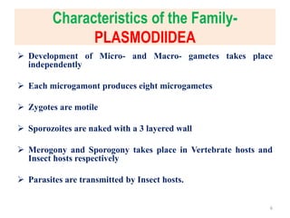 Characteristics of the Family-
PLASMODIIDEA
 Development of Micro- and Macro- gametes takes place
independently
 Each microgamont produces eight microgametes
 Zygotes are motile
 Sporozoites are naked with a 3 layered wall
 Merogony and Sporogony takes place in Vertebrate hosts and
Insect hosts respectively
 Parasites are transmitted by Insect hosts.
6
 