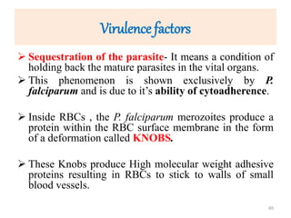 Virulence factors
 Sequestration of the parasite- It means a condition of
holding back the mature parasites in the vital organs.
 This phenomenon is shown exclusively by P.
falciparum and is due to it’s ability of cytoadherence.
 Inside RBCs , the P. falciparum merozoites produce a
protein within the RBC surface membrane in the form
of a deformation called KNOBS.
 These Knobs produce High molecular weight adhesive
proteins resulting in RBCs to stick to walls of small
blood vessels.
60
 