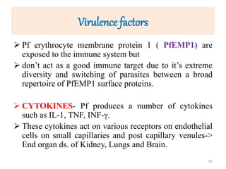 Virulence factors
 Pf erythrocyte membrane protein 1 ( PfEMP1) are
exposed to the immune system but
 don’t act as a good immune target due to it’s extreme
diversity and switching of parasites between a broad
repertoire of PfEMP1 surface proteins.
 CYTOKINES- Pf produces a number of cytokines
such as IL-1, TNF, INF-γ.
 These cytokines act on various receptors on endothelial
cells on small capillaries and post capillary venules->
End organ ds. of Kidney, Lungs and Brain.
62
 