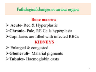 Pathological changes in various organs
Bone marrow
 Acute- Red & Hyperplastic
Chronic- Pale, RE Cells hyperplasia
Capillaries are filled with infected RBCs
KIDNEYS
 Enlarged & congested
Glomeruli- Malarial pigments
Tubules- Haemoglobin casts
75
 