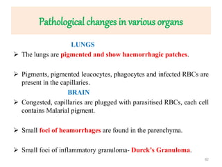 Pathological changes in various organs
LUNGS
 The lungs are pigmented and show haemorrhagic patches.
 Pigments, pigmented leucocytes, phagocytes and infected RBCs are
present in the capillaries.
BRAIN
 Congested, capillaries are plugged with parasitised RBCs, each cell
contains Malarial pigment.
 Small foci of heamorrhages are found in the parenchyma.
 Small foci of inflammatory granuloma- Durck’s Granuloma.
82
 