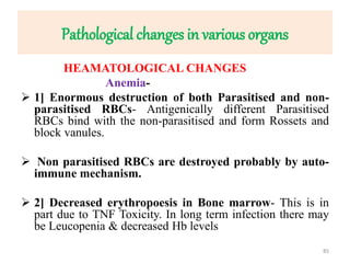 Pathological changes in various organs
HEAMATOLOGICAL CHANGES
Anemia-
 1] Enormous destruction of both Parasitised and non-
parasitised RBCs- Antigenically different Parasitised
RBCs bind with the non-parasitised and form Rossets and
block vanules.
 Non parasitised RBCs are destroyed probably by auto-
immune mechanism.
 2] Decreased erythropoesis in Bone marrow- This is in
part due to TNF Toxicity. In long term infection there may
be Leucopenia & decreased Hb levels
85
 