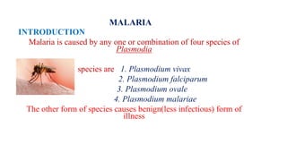 MALARIA
INTRODUCTION
Malaria is caused by any one or combination of four species of
Plasmodia
species are 1. Plasmodium vivax
2. Plasmodium falciparum
3. Plasmodium ovale
4. Plasmodium malariae
The other form of species causes benign(less infectious) form of
illness
 