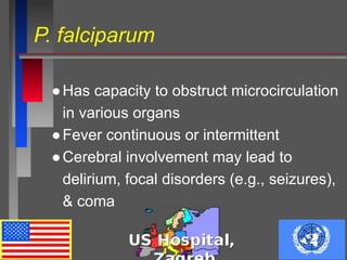 P. falciparum
●Has capacity to obstruct microcirculation
in various organs
●Fever continuous or intermittent
●Cerebral involvement may lead to
delirium, focal disorders (e.g., seizures),
& coma
 