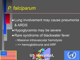 P. falciparum
●Lung involvement may cause pneumonia
& ARDS
●Hypoglycemia may be severe
●Rare syndrome of blackwater fever
○Massive intravascular hemolysis
○=> hemoglobinuria and ARF
 