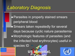 Laboratory Diagnosis
●Parasites in properly stained smears
peripheral blood
●Smears taken repeatedly for several
days because cyclic nature parasitemia
●Morphologic features of parasites (and
the infected host erythrocytes) useful in
species ID
 