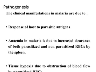 Pathogenesis
The clinical manifestations in malaria are due to :
• Response of host to parasitic antigens
• Anaemia in malaria is due to increased clearance
of both parasitized and non parasitized RBCs by
the spleen.
• Tissue hypoxia due to obstruction of blood flow
 