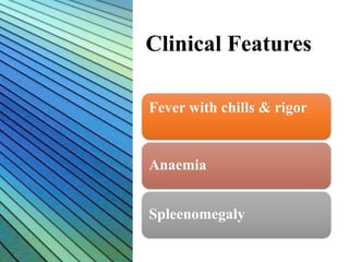 Clinical Features
Fever with chills & rigor
Anaemia
Spleenomegaly
 