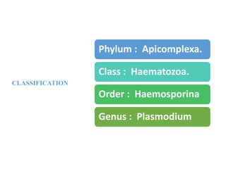 CLASSIFICATION
Phylum : Apicomplexa.
Class : Haematozoa.
Order : Haemosporina
Genus : Plasmodium
 