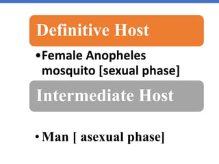 Definitive Host
•Female Anopheles
mosquito [sexual phase]
Intermediate Host
•Man [ asexual phase]
 
