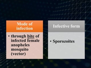 Mode of
infection
• through bite of
infected female
anopheles
mosquito
(vector)
Infective form
• Sporozoites
 