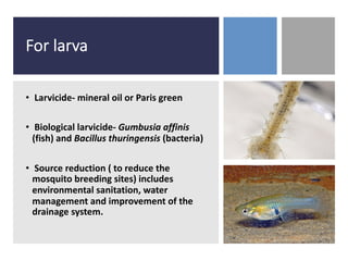 For larva
• Larvicide- mineral oil or Paris green
• Biological larvicide- Gumbusia affinis
(fish) and Bacillus thuringensis (bacteria)
• Source reduction ( to reduce the
mosquito breeding sites) includes
environmental sanitation, water
management and improvement of the
drainage system.
 
