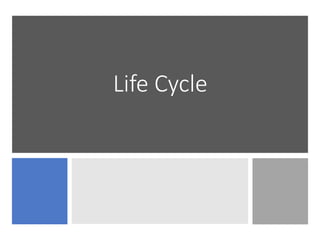 Life Cycle
 