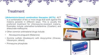 Malaria | PPTX