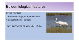 Epidemiological features
HOST FACTOR:
• Reservoir – Pigs, bats, ardeid birds
• Incidental hosts –humans
INCUBATION PERIOD:...