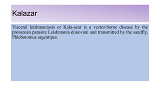 introduction
There are 3 main forms of leishmaniases:
• Visceral (the most serious form because it is almost always fatal
...