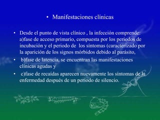 • Manifestaciones clínicas
• Desde el punto de vista clínico , la infección comprende:
a)fase de acceso primario, compuesta por los periodos de
incubación y el periodo de los síntomas (caracterizado por
la aparición de los signos mórbidos debido al parásito,
• b)fase de latencia, se encuentran las manifestaciones
clínicas agudas y
• c)fase de recaídas aparecen nuevamente los síntomas de la
enfermedad después de un periodo de silencio.
 