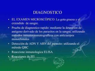 DIAGNOSTICO
• EL EXAMEN MICROSCÓPICO: La gota gruesa y el
extendido de sangre.
• Prueba de diagnostico rapido: mediante la deteccion de
antigeno derivado de los parasitos en la sangre, utilizando
metodos inmunocromatograficos con anticuerpos
monoclonales
• Detección de ADN Y ARN del parasito: utilizando el
método QBC
• Reaccione inmunologica ELISA
• Reacciones de IFI
 